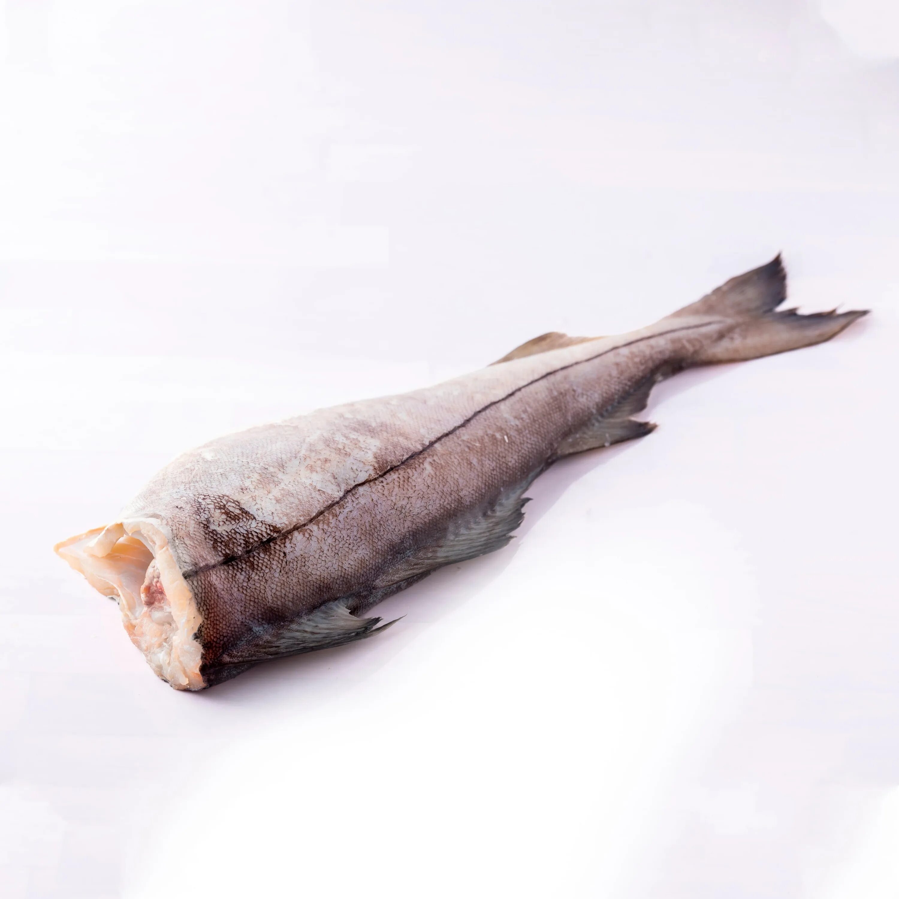 Рыба пикша отзывы. Пикша потрошеная. морская рыба пикша. королевская пикша. пикша бг.