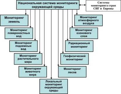 Национальной системе мониторинга