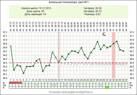 Температура тела при беременности