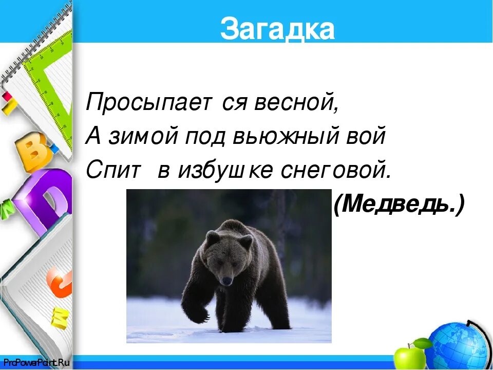 Загадка про медведя для детей. Загадка медведь. Загадка про медведя для детей. Загадка медведь. Загадка про мишку.