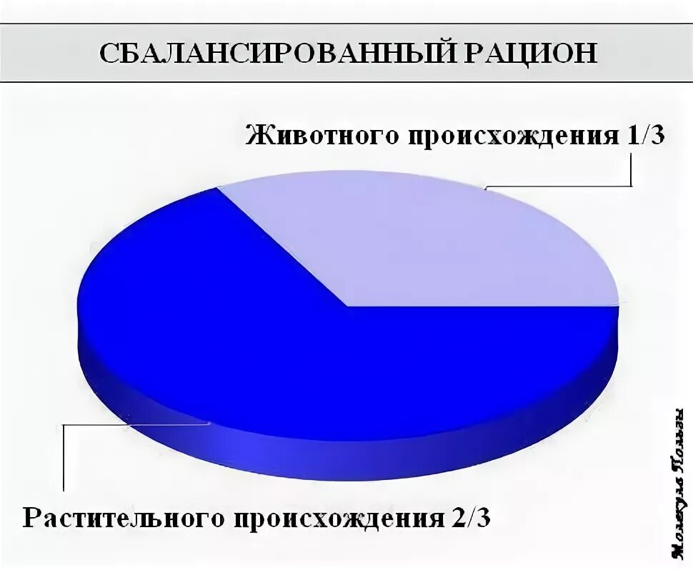 Соотношение животных и растительных жиров в рационе. Соотношение животных и растительных жиров в рационе