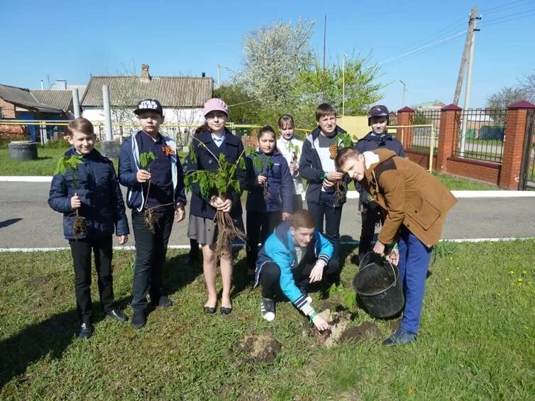 Погода орловский район поселок орловский