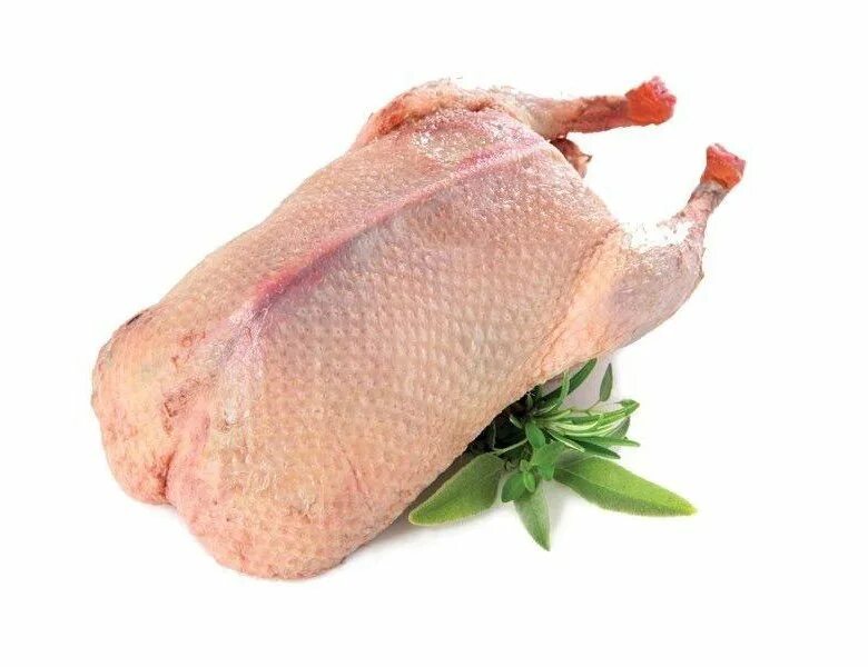 Гусиная тушка. Гусь фермерский мулард. Тушка утки потрошеная. Тушки мяса утки. Тушка утки.