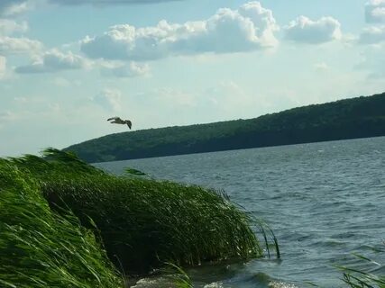 Летучий корабль воронеж над водохранилищем