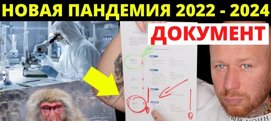 Распространение обезьяньей оспы 2025. Вспышка оспы обезьян (2025). обезьянья оспа 2025.