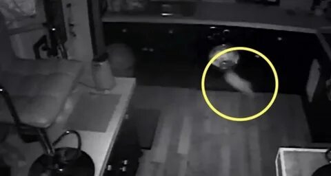 Полтергейст в доме