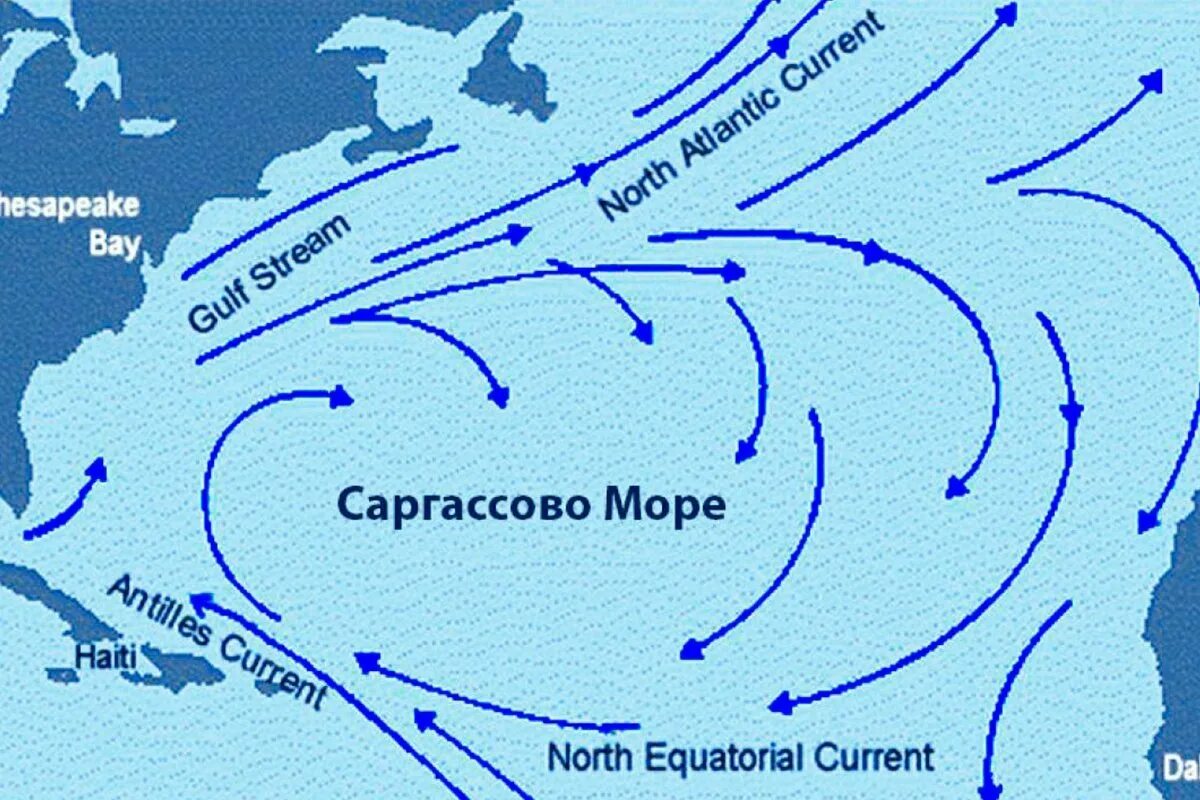 Атлантический океан Саргассово море. Саргассово море течения. Саргассово море окраинное. Саргассово море на карте Атлантического океана. Течение вод атлантического океана