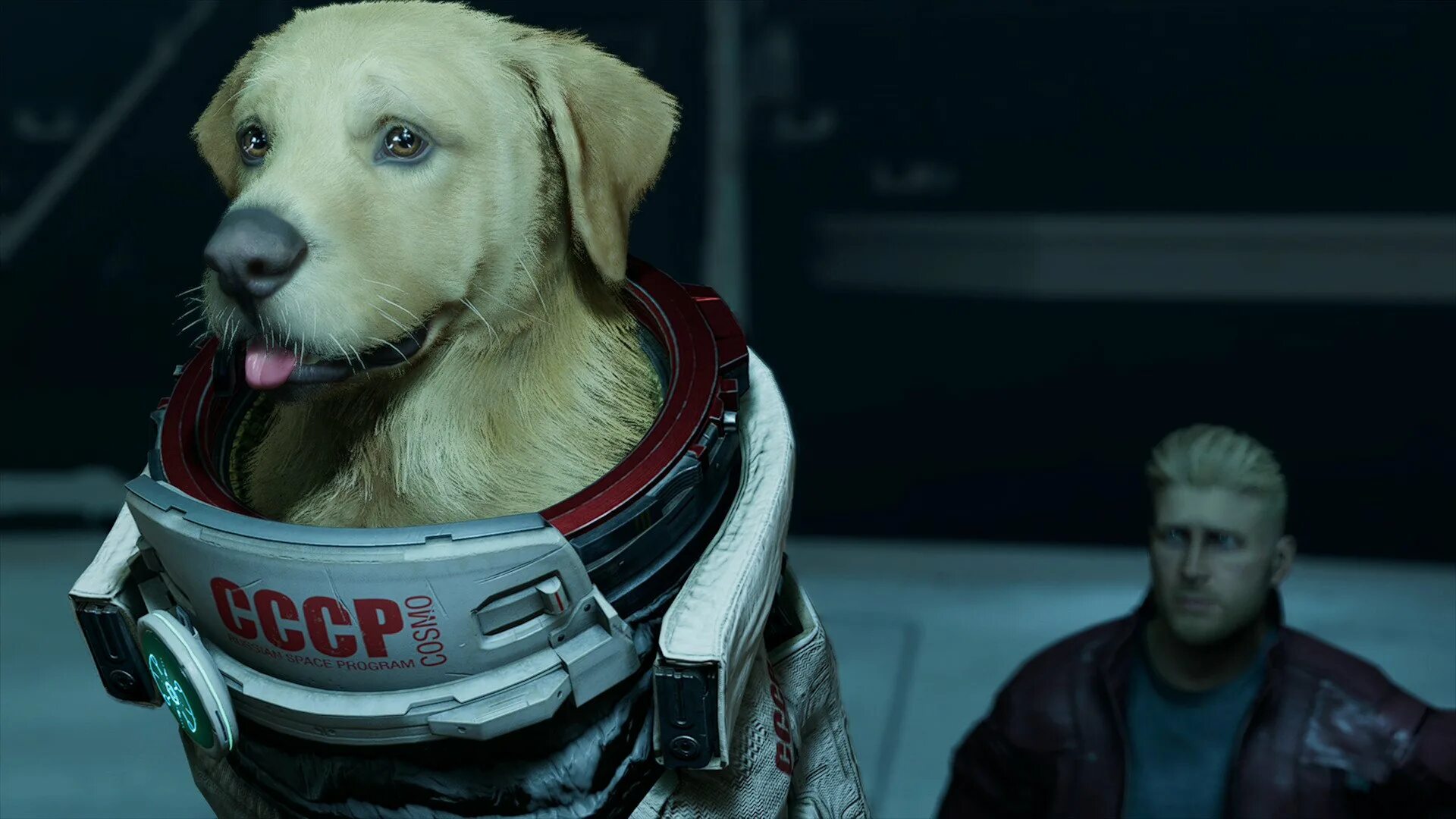 Роскосмос стражи галактики. Космо стражи галактики фильм. Космо марвел стражи галактики. Космо стражи. Стражи галактики пёс космо.