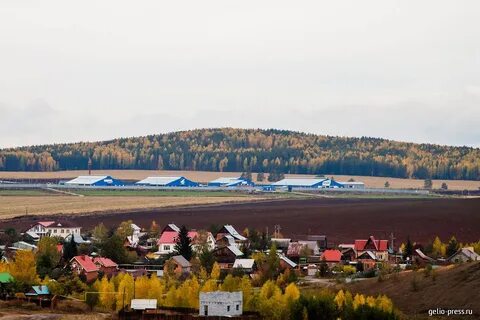 Патруши