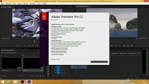 Universe adobe premiere