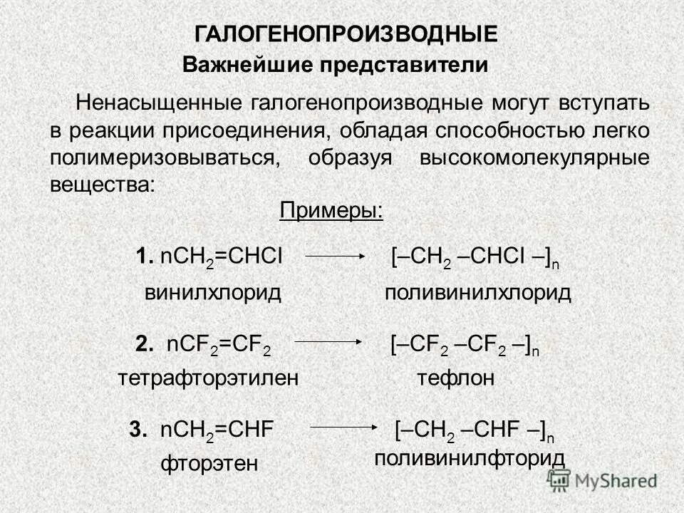 Важнейшие представители