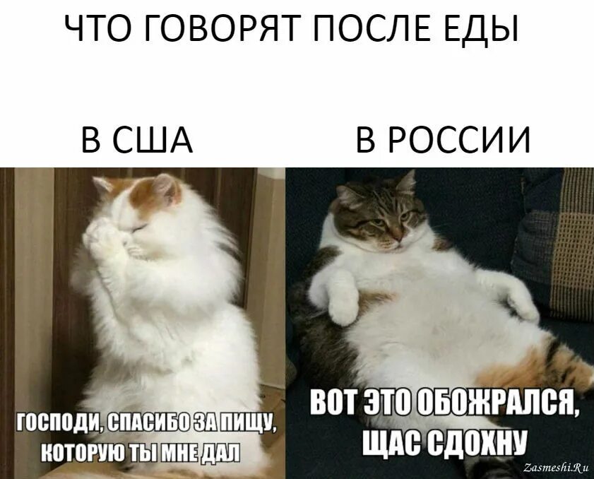 Через полчаса скажешь