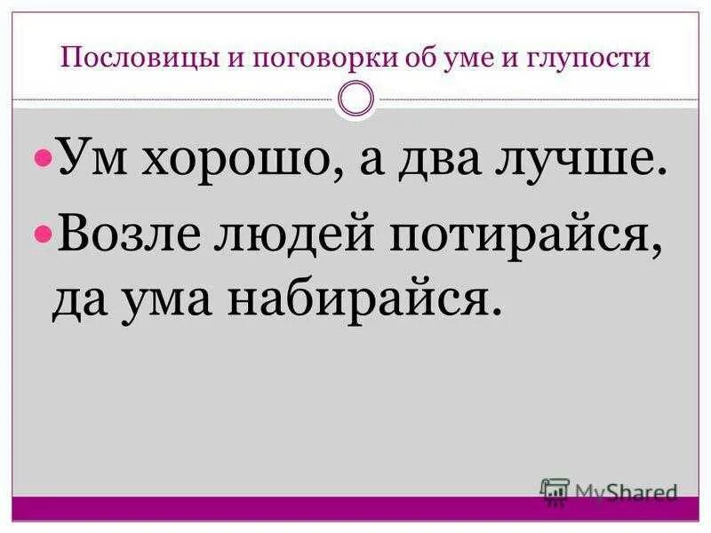 Пословицы о уме. Пословицы о глупости. Поговорки о глупости. Поговорки про глупых. Поговорки о необразованности и глупости.