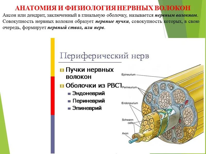 типы экономических систем признаки и страны. совокупность предметов образующих целое. содержание. совокупность предметов образующих целое. множество это совокупность объектов.