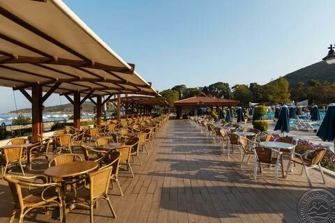 Club wasa holiday village 4 отзывы 2023