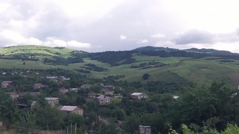 Чинари. Чинари. Чинари армения. Чинари армения. Цахкаван армения.