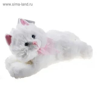 Товары белого кота