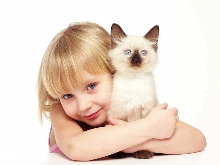 Породы кошек которые любят детей. Девочка с котятами. кошка для детей. домашние питомцы для детей. котёнок-ребёнок.
