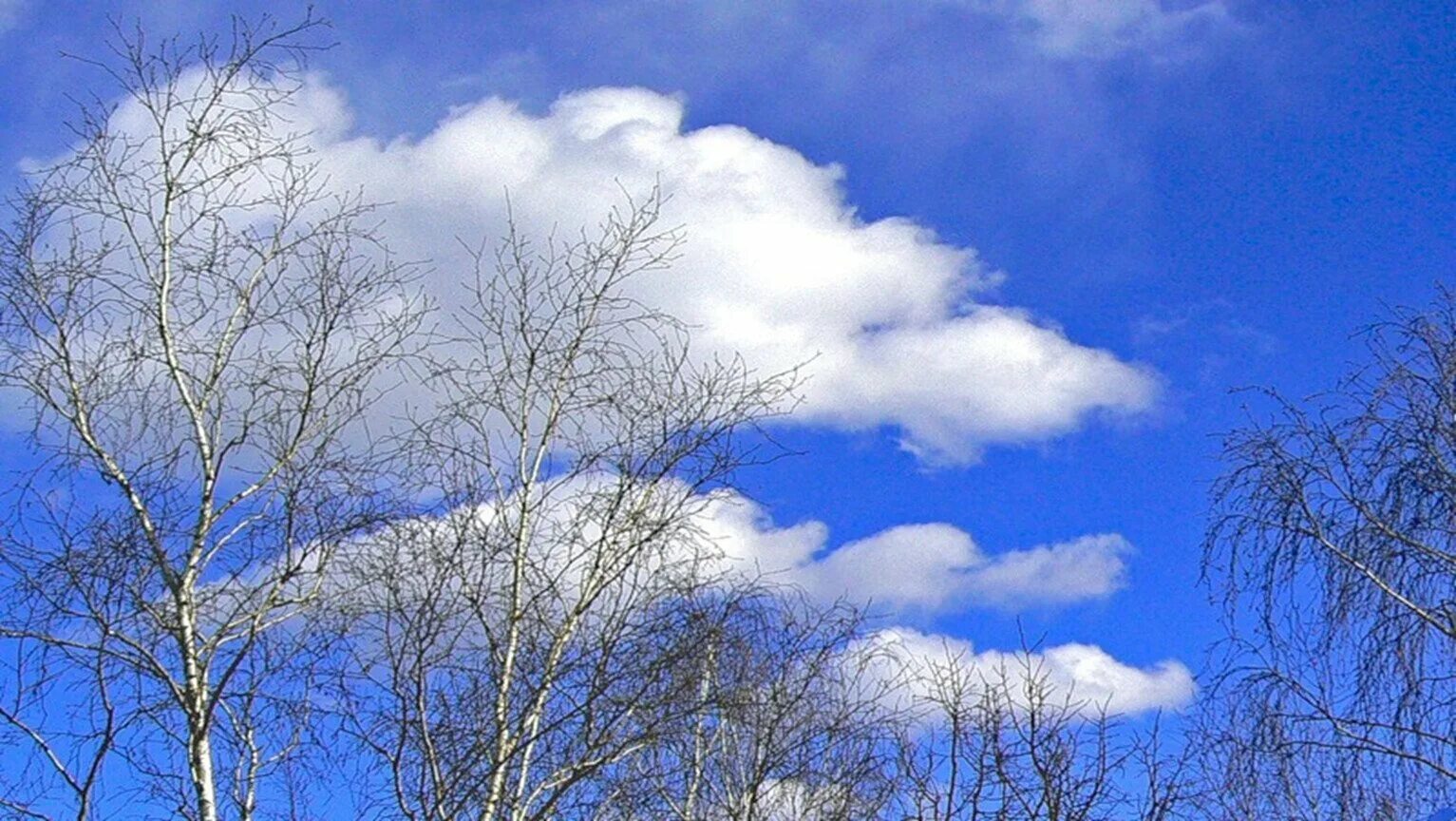 Приносит ясную погоду. Весеннее небо. Голубое Весеннее небо. Небо весной. Небесная лазурь.
