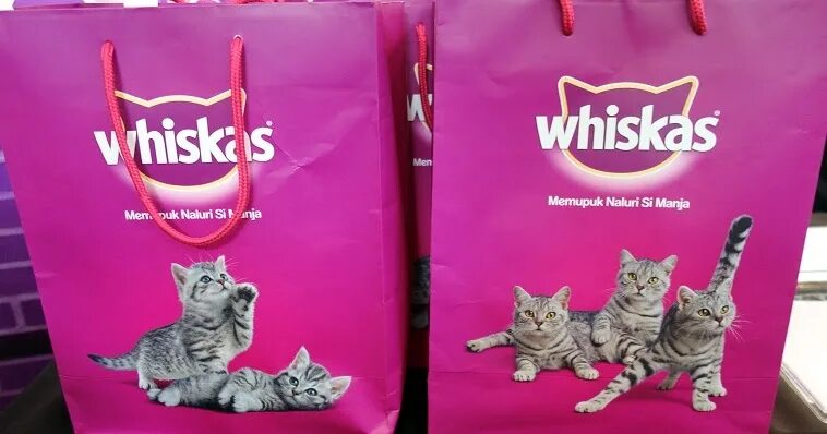 Включи вискас бессмертный. Вискас. Whiskas для котят реклама. Реклама корма для кошек вискас. Whiskas упаковка.