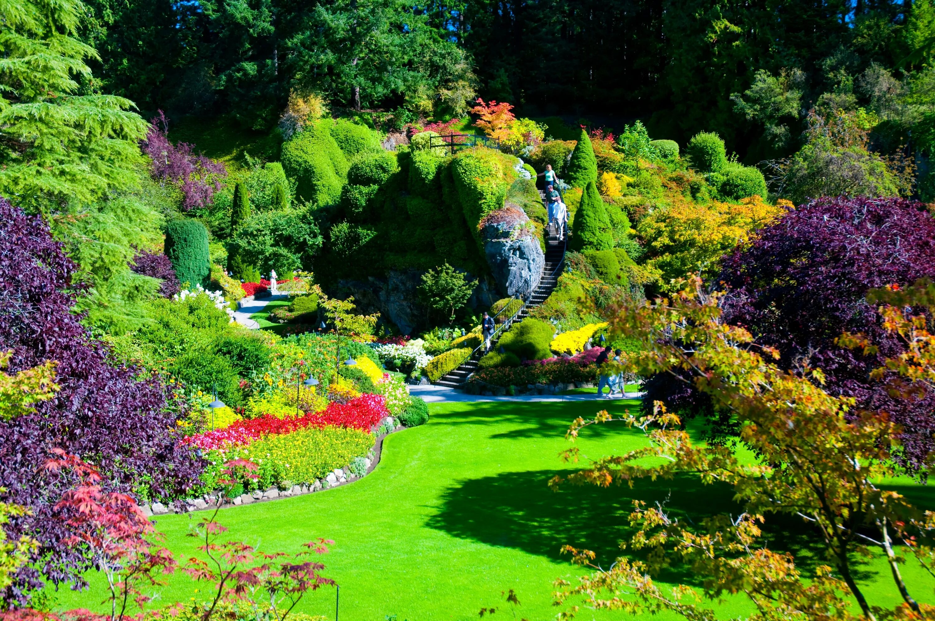 Сад maple glen garden, новая зеландия. Хелен парк+ ландшафт. Butchart gardens, канада розарий. Красота садов и парков. Цветочные сады бутчартов, канада.