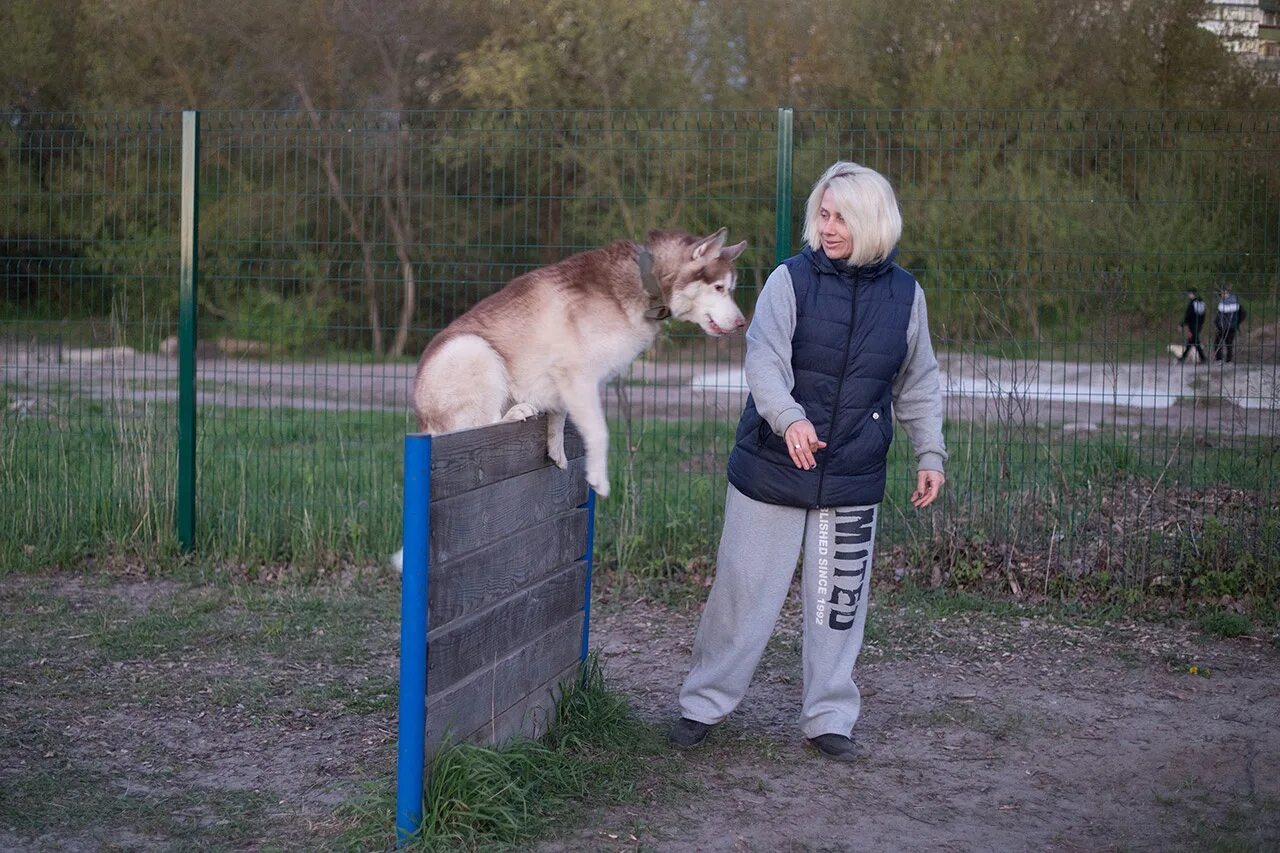 Погулять в курске. Люди и животные в парке. Городские и Деревенские собаки. Царицынский парк выгул собак.