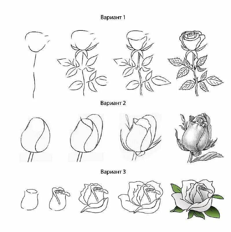 Пошаговый рисунок цветка. Цветы рисунок поэтапно. Простые цветы для рисования. Поэтапное рисование розы карандашом. Букет поэтапное рисование