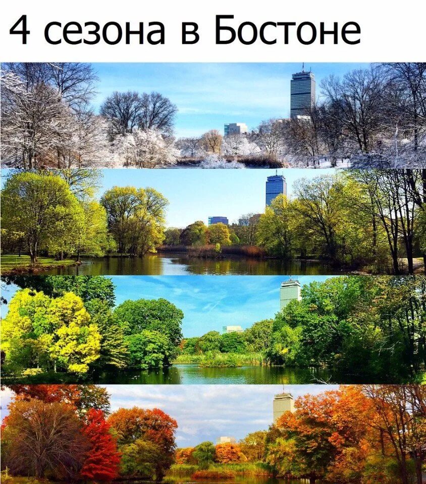 Seasons reasons. Времена года. Фотографии времена года. Четыре времени года. Поры года картинки.