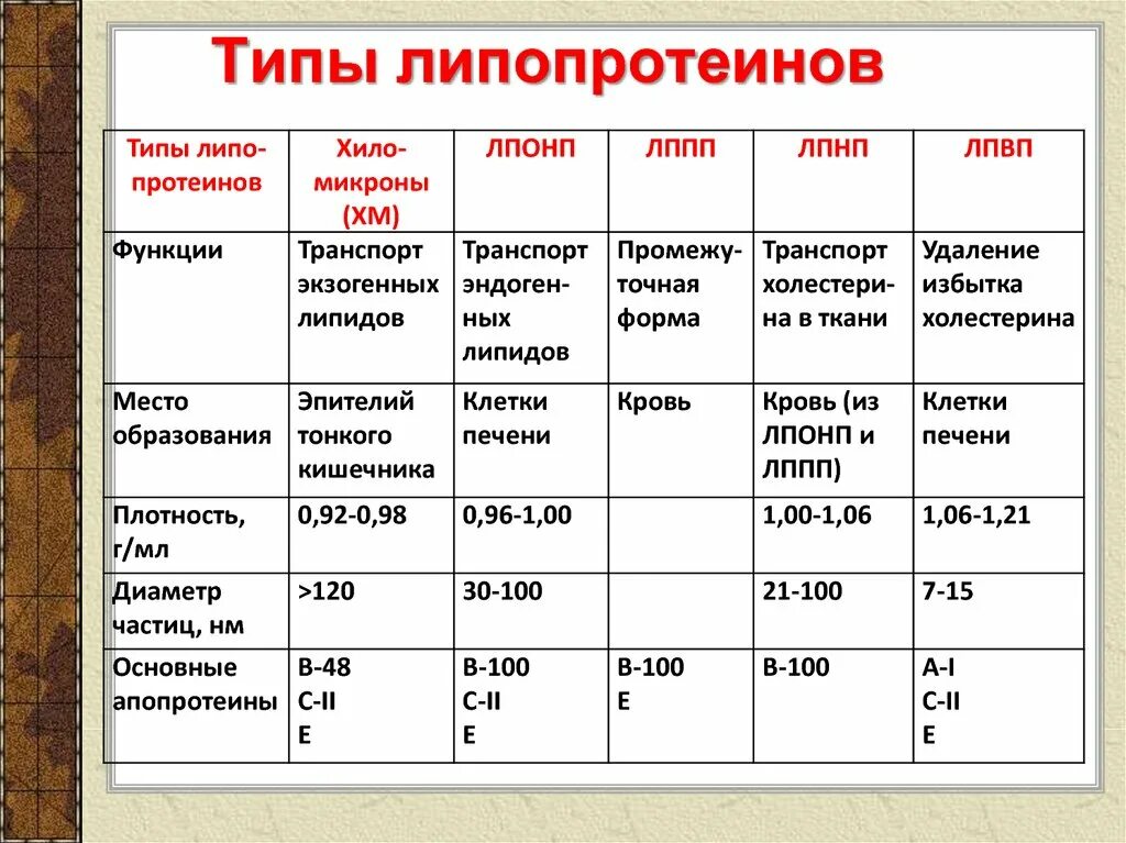 Холестерин лпнп повышен причины у мужчин. Нормальные показатели липопротеинов. Строение бета липопротеинов. Состав, структура и функции липопротеинов. Строение и функции липопротеинов.