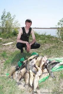 Волчков уфа