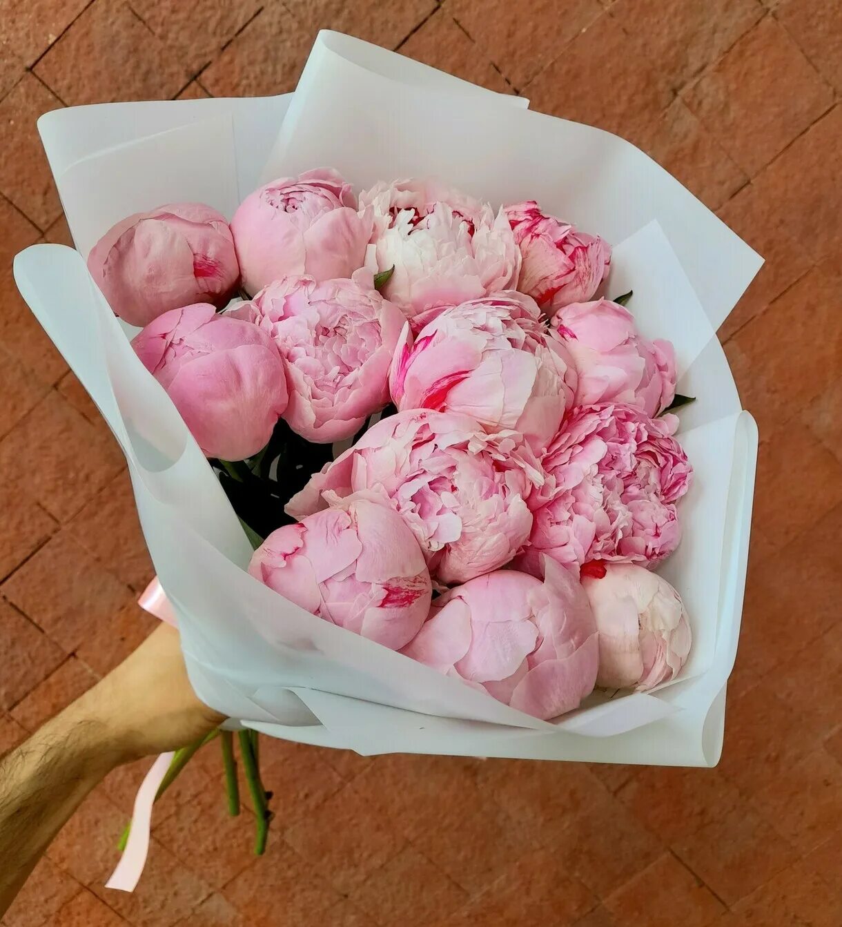 Голландские пионы. Голландские пионы. Голландские пионы букет. Голландские пионы. Пионы голландцы.