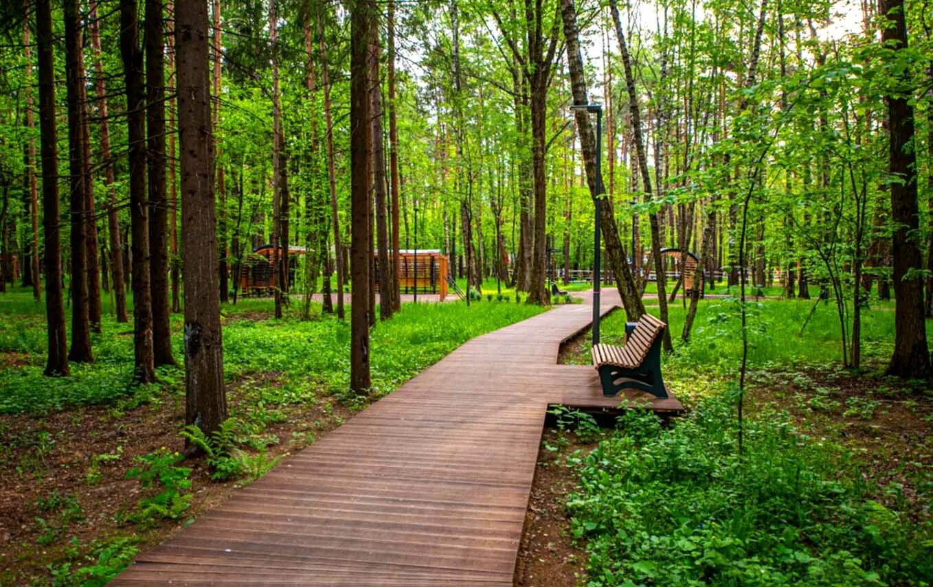 В лесах парка можно встретить. Раздолье парк Московская область. Парк Раздолье Одинцовский. Ольгино лесопарк. Томилинский лесопарк велодорожки.