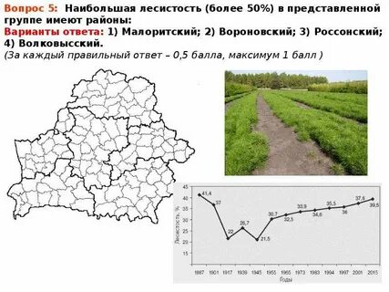 Чему равна средняя лесистость по республике
