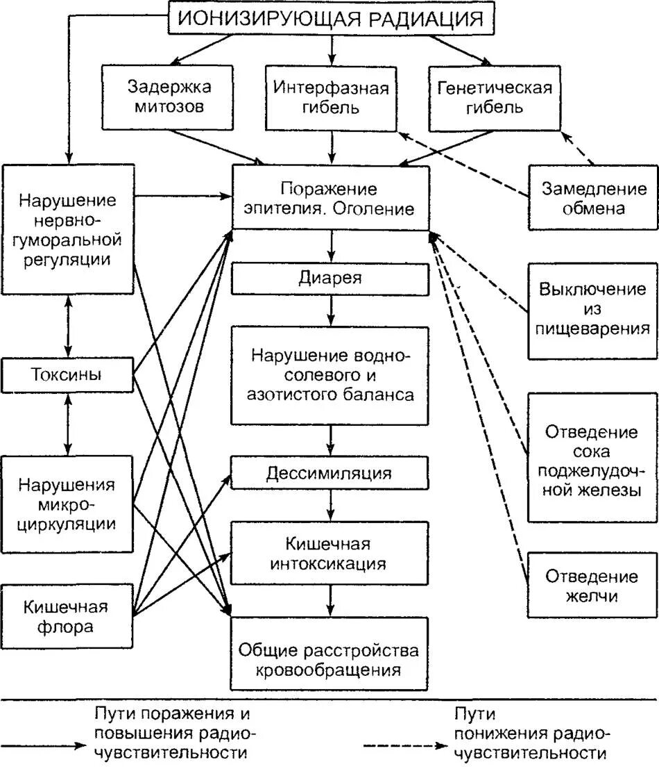 Патогенез лучевой болезни патофизиология. Схема биологического действия ионизирующего излучения на человека. Острая лучевая болезнь патогенез. Патогенез лучевой болезни патофизиология. Патогенез лучевой болезни патофизиология.
