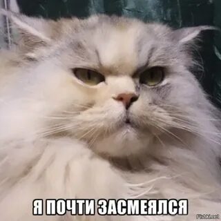 Ну почти меня