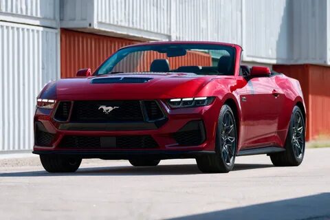 Ford shelby 2024