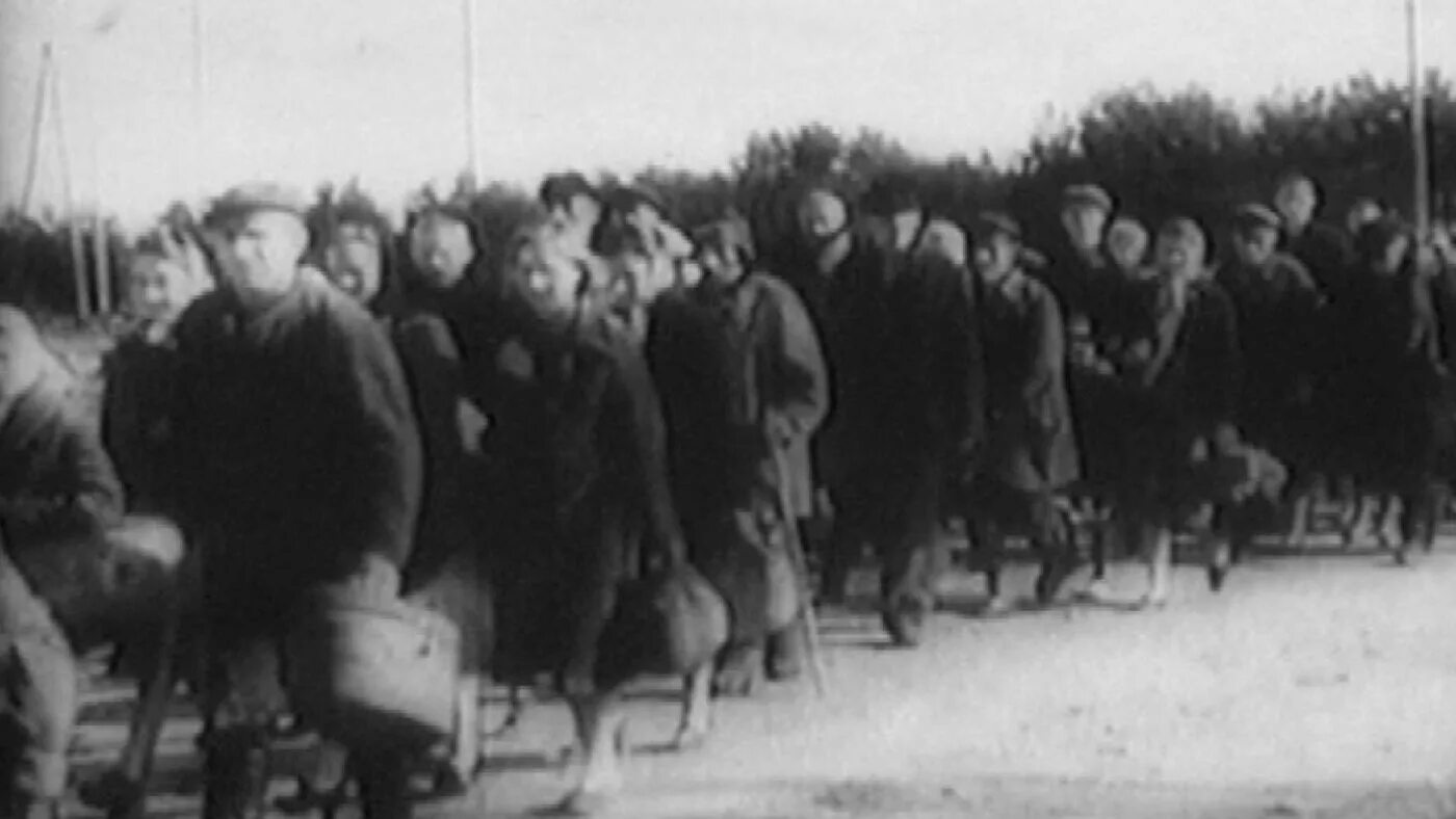 Геноцид белорусов расследование. Геноцид на территории беларуси в годы великой отечественной войны. Геноцид в рб. Геноцид в рб. Лукашенко присяга бчб.