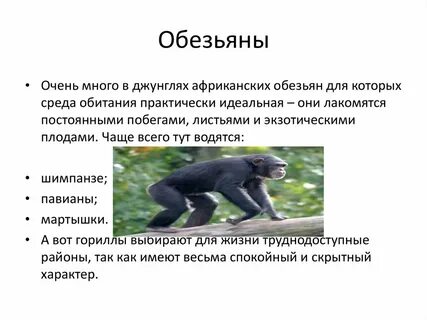 Среда обитания макаки наземно воздушной