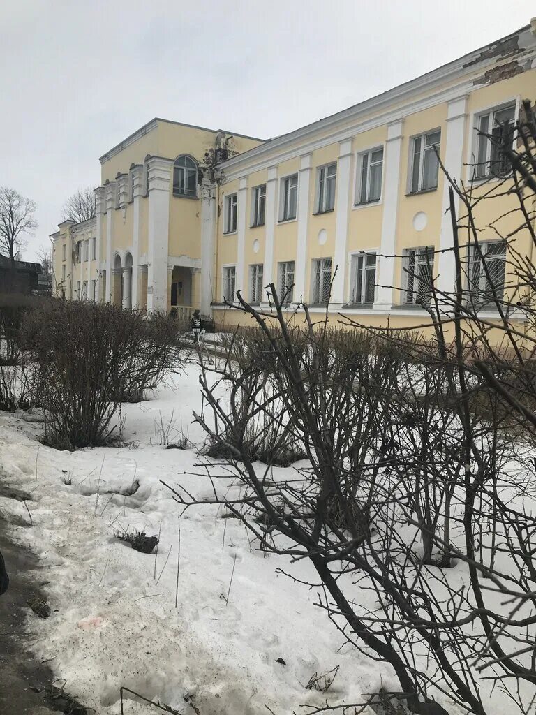 Вышневолоцкий коллед. Вышний волочек колледж. Вышний волочек колледж. Техникум вышний волочек. Медицинское училище вышний волочек.