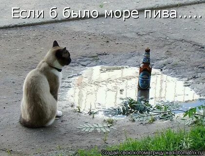 Если б море было пивом