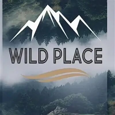 Саксония германия леса. Photographs. Патагония растения. Wild place. Wild places.