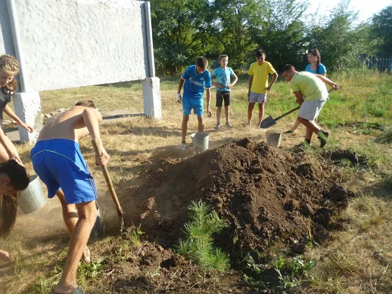 Погода в октябрьском саратовской области перелюбского района. Молодежный Перелюбский район. Посёлок молодёжный Саратовская область Перелюбский район. Совхоз труд. Совхоз труд Перелюбский район.