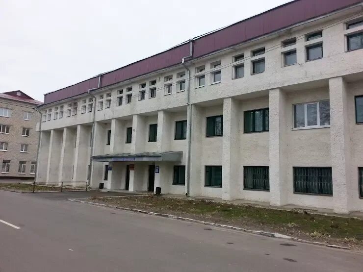 Новозыбков центральная библиотека. Городская библиотека новозыбков. Коммунистическая 21 новозыбков. Городская библиотека новозыбков. Садовая 30 новозыбков.