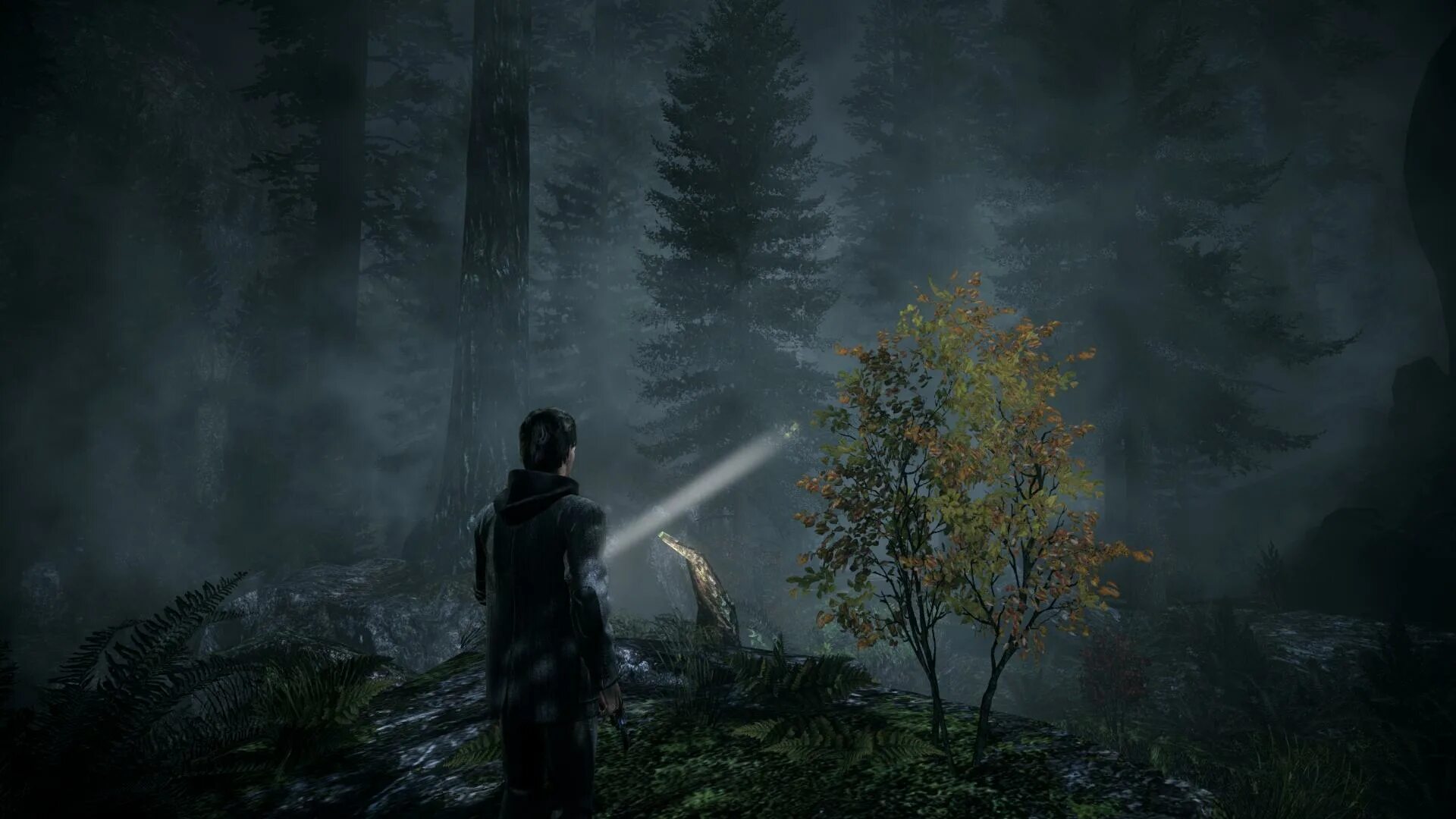 Alan wake 2 лавка. Alan wake remastered обложка. alan wake xbox 360 обложка. алан вейк пс5. alan wake poster.