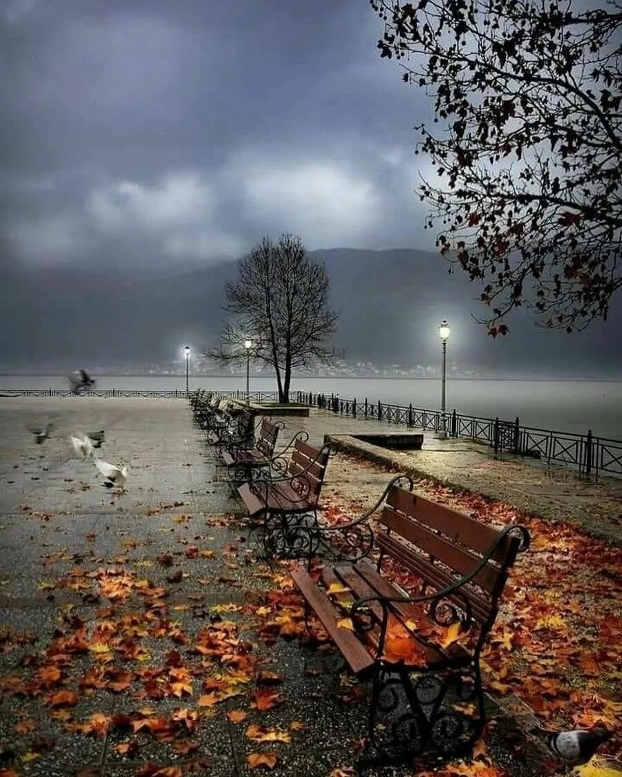 Осень грустит. Осенняя грусть. Печальная осень. Печальный пейзаж. Грустная осень.