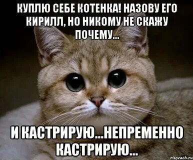 Слушать называй меня зайкой называй меня котенком