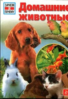 Зачем домашний