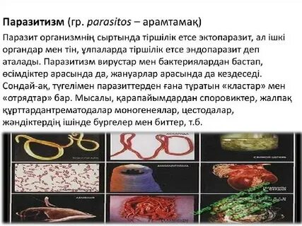 Ұзын пенистердің фотосуреттері