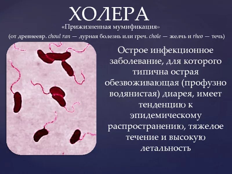 Холера передается воздушно капельным путем. Холерный вибрион болезни. холерный вибрион симптомы. возбудитель холерный вибрион. инфекционные заболевания холера.