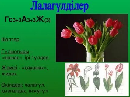 Неміс секс кастинг